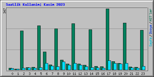 Saatlik Kullanim: Kasim 2023