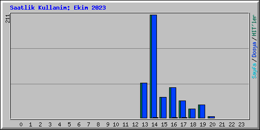 Saatlik Kullanim: Ekim 2023