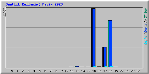 Saatlik Kullanim: Kasim 2023
